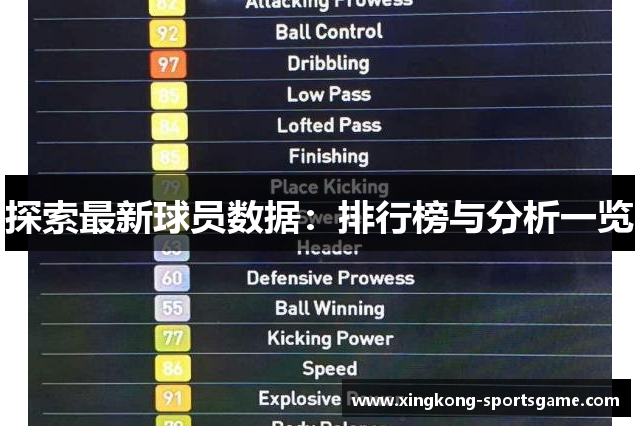 探索最新球员数据：排行榜与分析一览